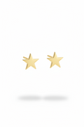 Solid Stars